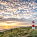 shutterstock_1442903951_pkd2sf